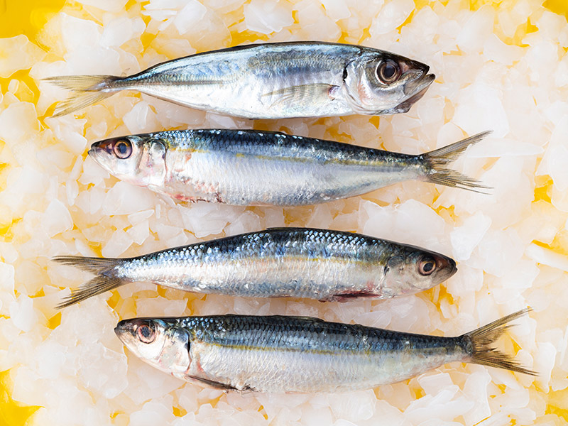 Cómo saber si el pescado es fresco o congelado en la pescadería