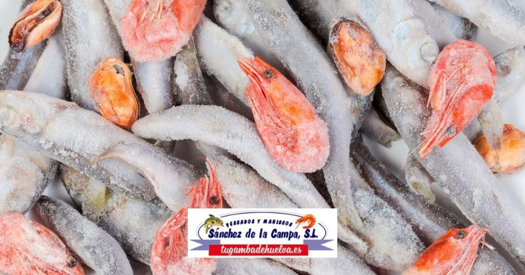 Terminal 94 - ❄️Beneficios de el pescado congelado❄️ ¿El pescado congelado  es igual de nutritivo que el pescado fresco? ✍🏻 Los pescados congelados de  manera correcta mantienen los mismos beneficios nutricionales que